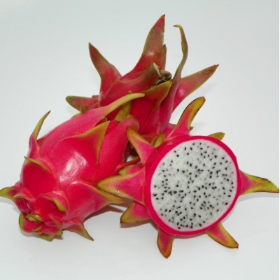 Hylocereus David Bowie 13A Pitaya (Dragon Fruit)