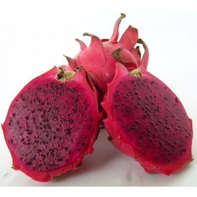 Hylocereus Neon 31A Pitaya (Dragon Fruit)
