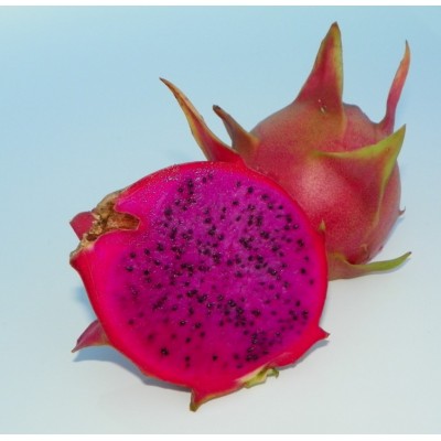 Hylocereus American Beauty 39A Pitaya (Dragon Fruit)